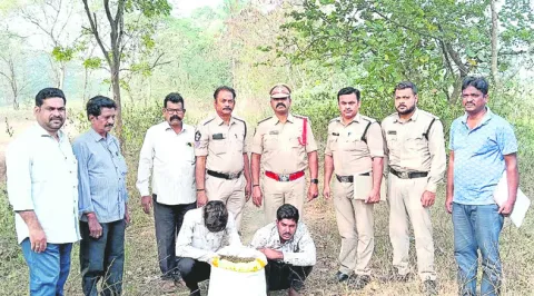 21 కిలోల గంజాయి స్వాధీనం 
