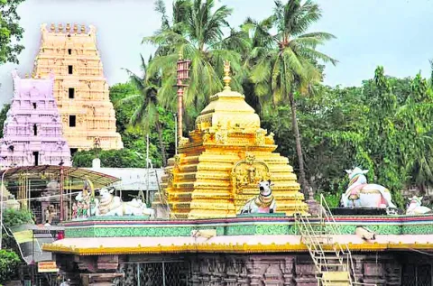 శ్రీశైలంలో ‘స్వయం’ కృతాపరాధం!