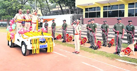 ఈ ఏడాది మనకు కీలకం