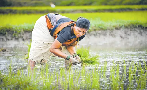 Farmers Accelerated Yasangi works in Telangana