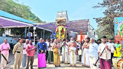 గజవాహనంపై వెంకన్న తిరువీధి సేవలు 