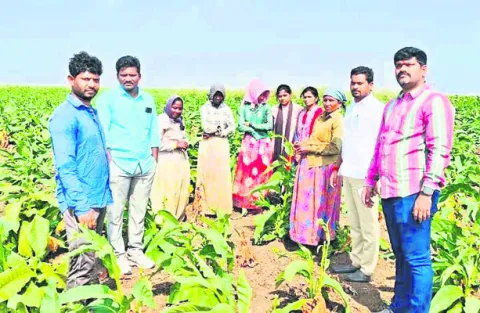బాలకార్మిక వ్యవస్థ నిర్మూలనకు కృషి 