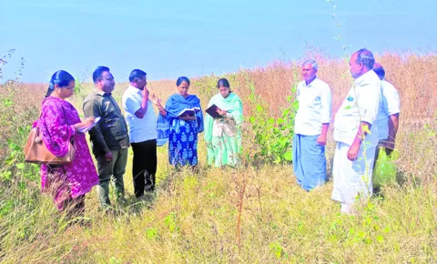 కందిలో యాజమాన్య పద్ధతులు పాటించాలి 