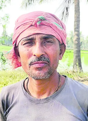 లాభసాటి దిగుబడి  
