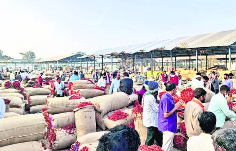 మిర్చి ధరలో పురోగతి