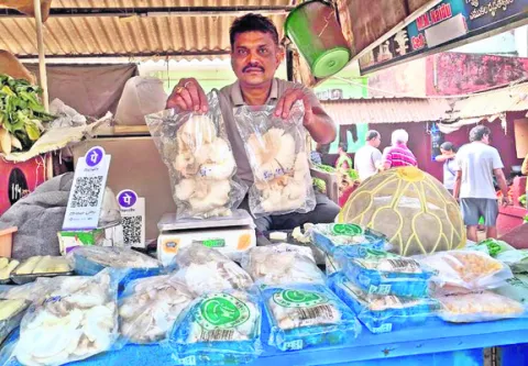 ప్రోత్సహిస్తే ఆదాయార్జనే..!