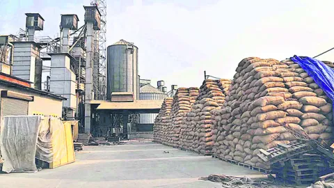 రూ.114 కోట్ల విలువైన 57 వేల మెట్రిక్‌ టన్నుల ధాన్యం మాయ