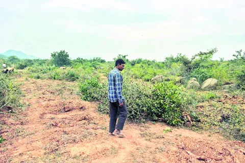 భూ ఆక్రమణకు యత్నం