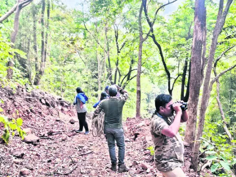 కొత్త.. కిలకిలలు