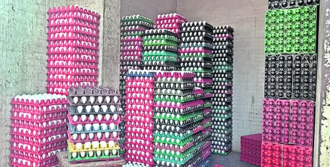 కొండెక్కిన గుడ్లు, చికెన్‌ ధరలు 