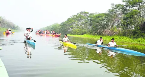 గోదారి పాయల్లో హైలెస్సా..