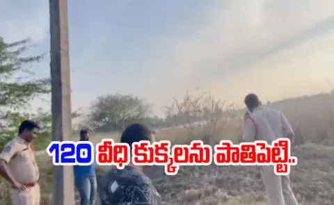 Hanumakonda: Cases Registered Against Sarpanches In Stray Dog ​​case