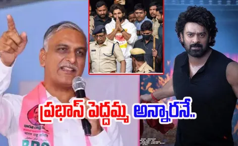 Ex minister Harish Rao Comments On the Raja Saab tickets Issue