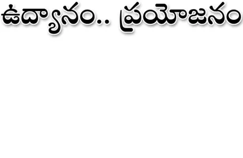 నిర్మ