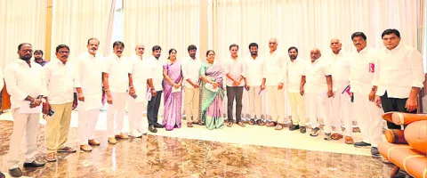 మున్సిపల్‌ ఎన్నికల్లో గులాబీ జెండా ఎగరేయాలి