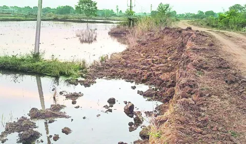 ఆశిరెడ్డి కుంట కట్ట ధ్వంసం.. 