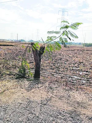 భిక్షాటన కోసం వచ్చి .. 