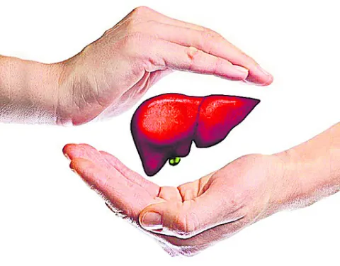 లివర్‌ జరభద్రం 