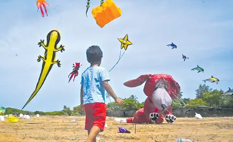 Kites in Sankranti 2026