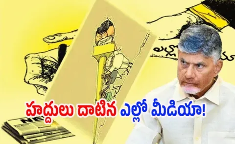 Kommineni Srinivasa Rao Comments On TDP and Yellow Media 