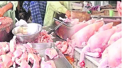 మాంసాహారం ధరలకు రెక్కలు 