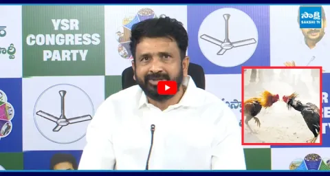 Putha Siva Sankar Reddy Strong Counter to Chandrababu Over KPL 2