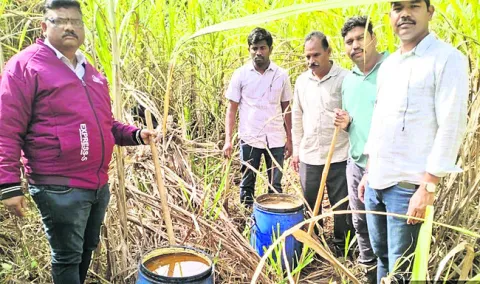 200 లీటర్ల బెల్లం ఊట ధ్వంసం 