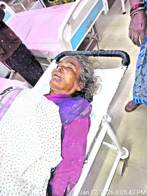 జిల్లాల పునర్‌వ్యవస్థీకరణ  తొందరపాటు నిర్ణయం 