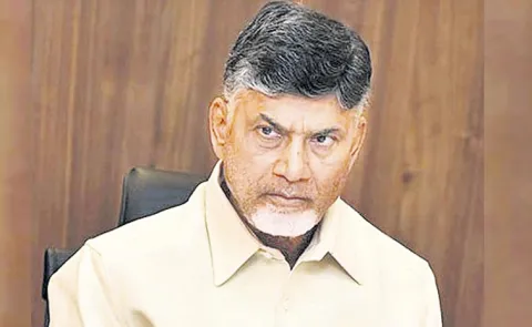 CM Chandrababu Fires On Collectors: Andhra pradesh