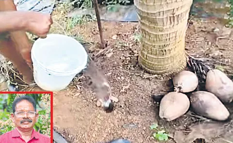 Sagubadi: Organic Farmer Jitta Bal Reddy Success Story