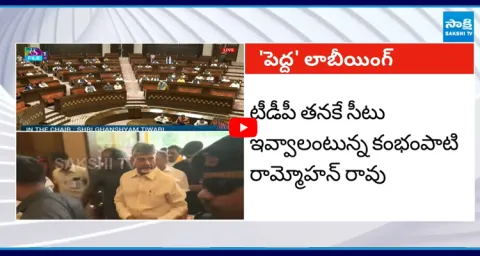 Janasena BJP Lobbying For Rajya Sabha MP Seats  1