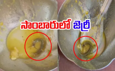 Jarry Was Found In The Sambar At Hotel In Nalgonda