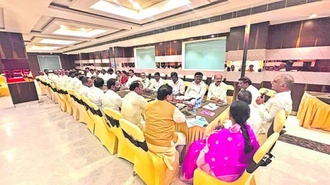 బల్దియాలపై ఎగిరేది గులాబీ జెండానే