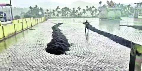 కాఫీ పంటకు నష్టం  