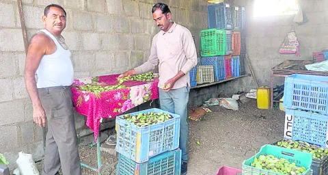 ప్రకృతి ఫుడ్స్‌ సొసైటీ నెలకొల్పి.. 