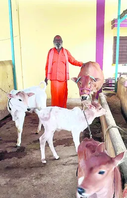 పశుసంతతి పెంపులో శివదత్తగిరి మహరాజ్‌