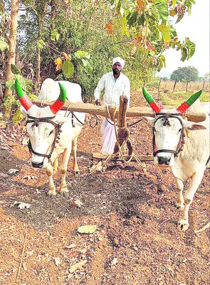 వ్యవసాయంపై ఆసక్తితో జాబ్‌ వదులుకుని.. 