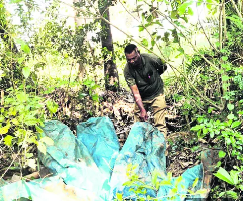 400 లీటర్ల బెల్లం ఊట ధ్వంసం 