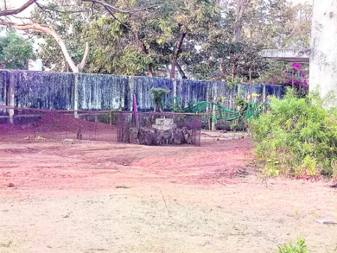 జామ్‌లో కోతులు పట్టివేత
