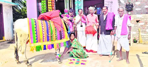 ఆ ఇంటికి ‘పెద్ద’రాయుడు..