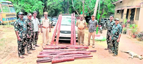 ఎర్రచందనం దుంగలు స్వాధీనం