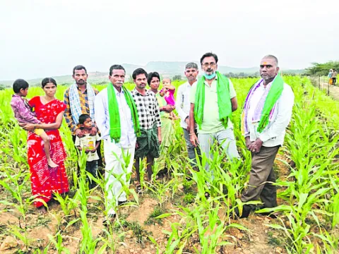 రైతులను మోసగించిన విత్తన కంపెనీ 