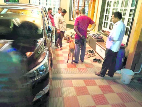 వదల బొమ్మాళి! 