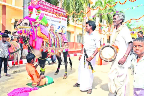 డూడూ.. బసవన్న