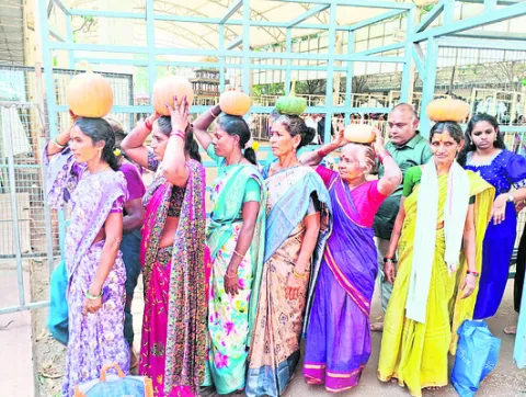 తొలిపంట 