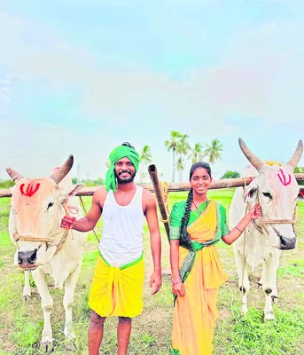 ఎద్దులతోనే ఎవుసం