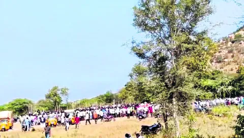 ● కోనసీమను తలపించేలా కోడి పందేలు..