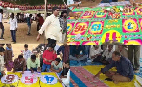 Cockfights and Gambling Dens Rampant Across Andhra Pradesh