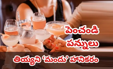 WHO Calls for Higher Taxes on Sugary Drinks Alcohol