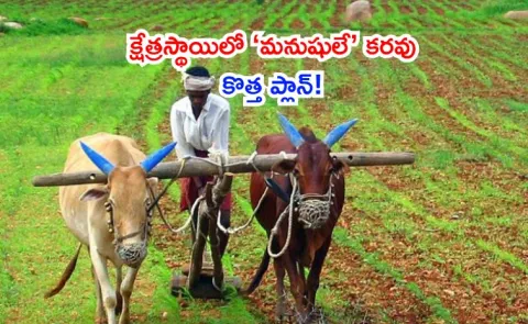 Public money is not constraint in rural India People matters3